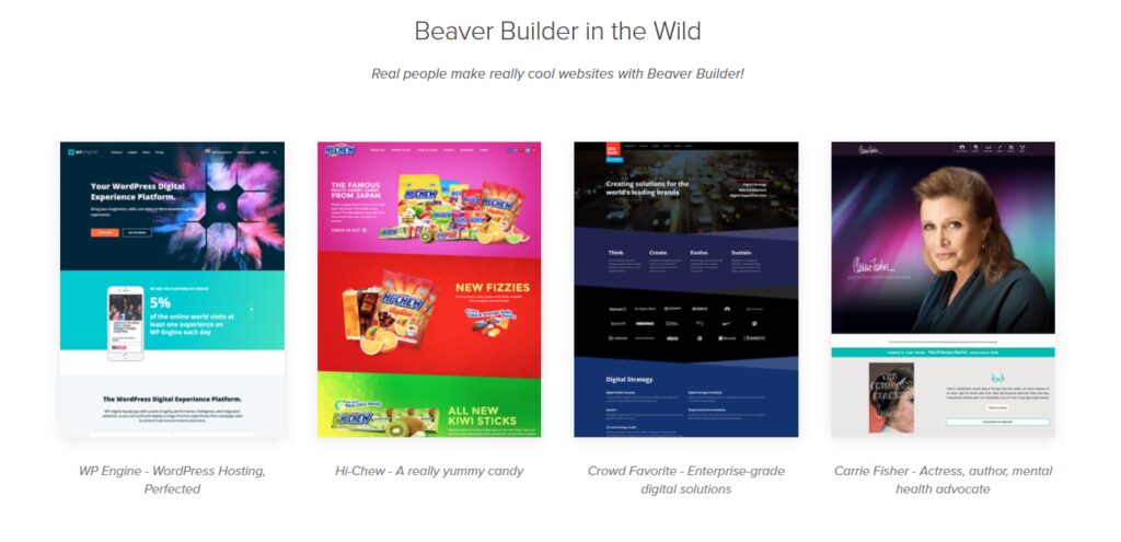 Free Download Beaver Builder Pro v2.4.2.1 Plugin