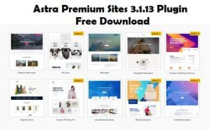 Astra Premium Sites 3.1.13 Plugin Free Download