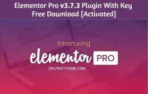 Elementor Pro v3.7.3 - Plugin Free Download [Activated]