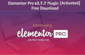 Elementor Pro v3.7.7 - Plugin Free Download [Activated]