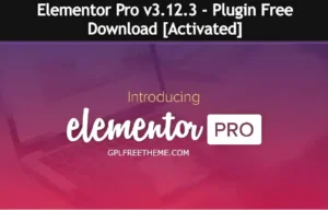 Elementor Pro v3.12.3 - Plugin Free Download [Activated]
