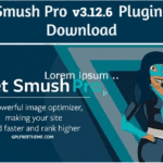WP Smush Pro v3.12.6 - Plugin Free Download [Activated]
